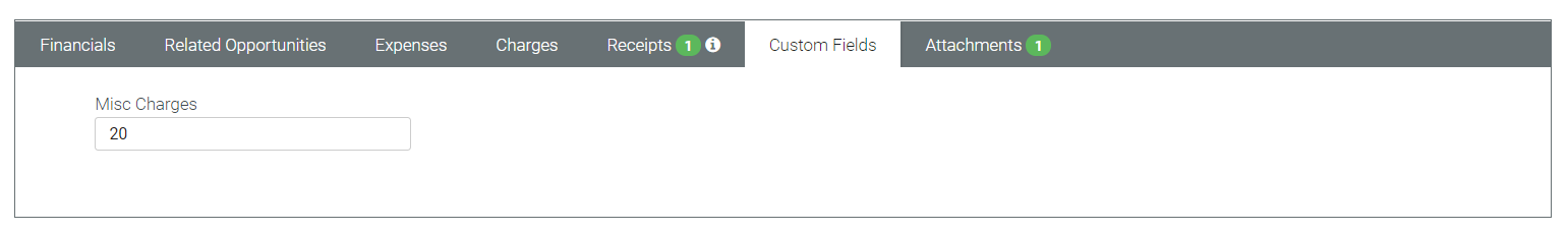 project_create_customfields.PNG